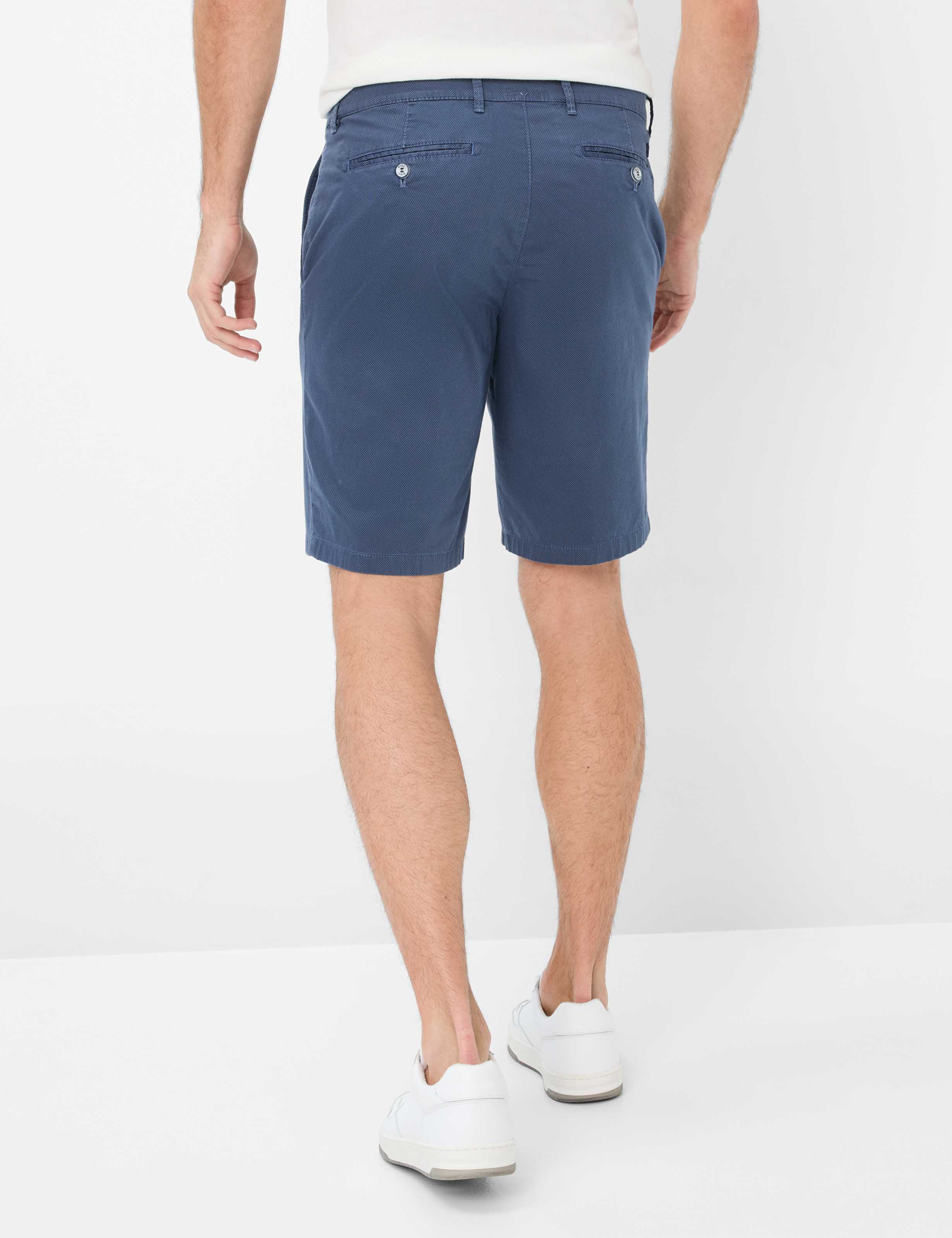 Men Style BOZEN Dark Blue Regular Fit Model back