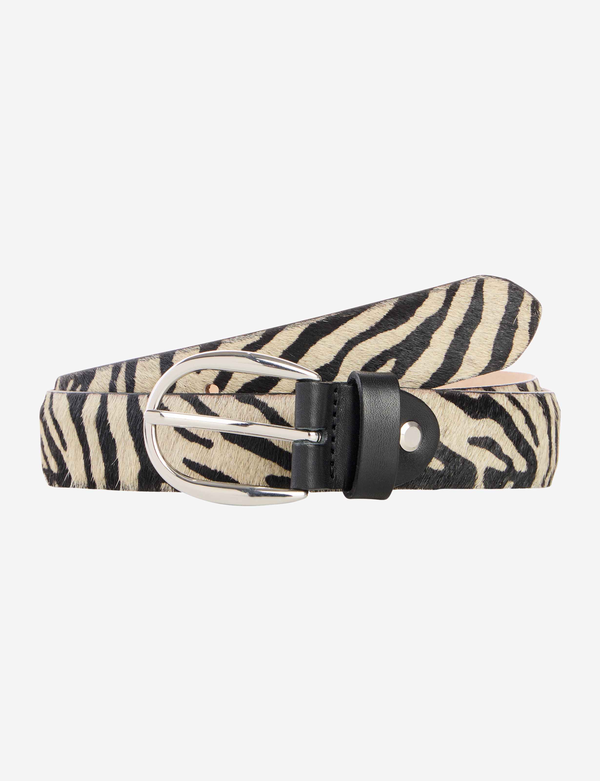 Damen Style DAMENGÜRTEL Schwarz  Freisteller Front