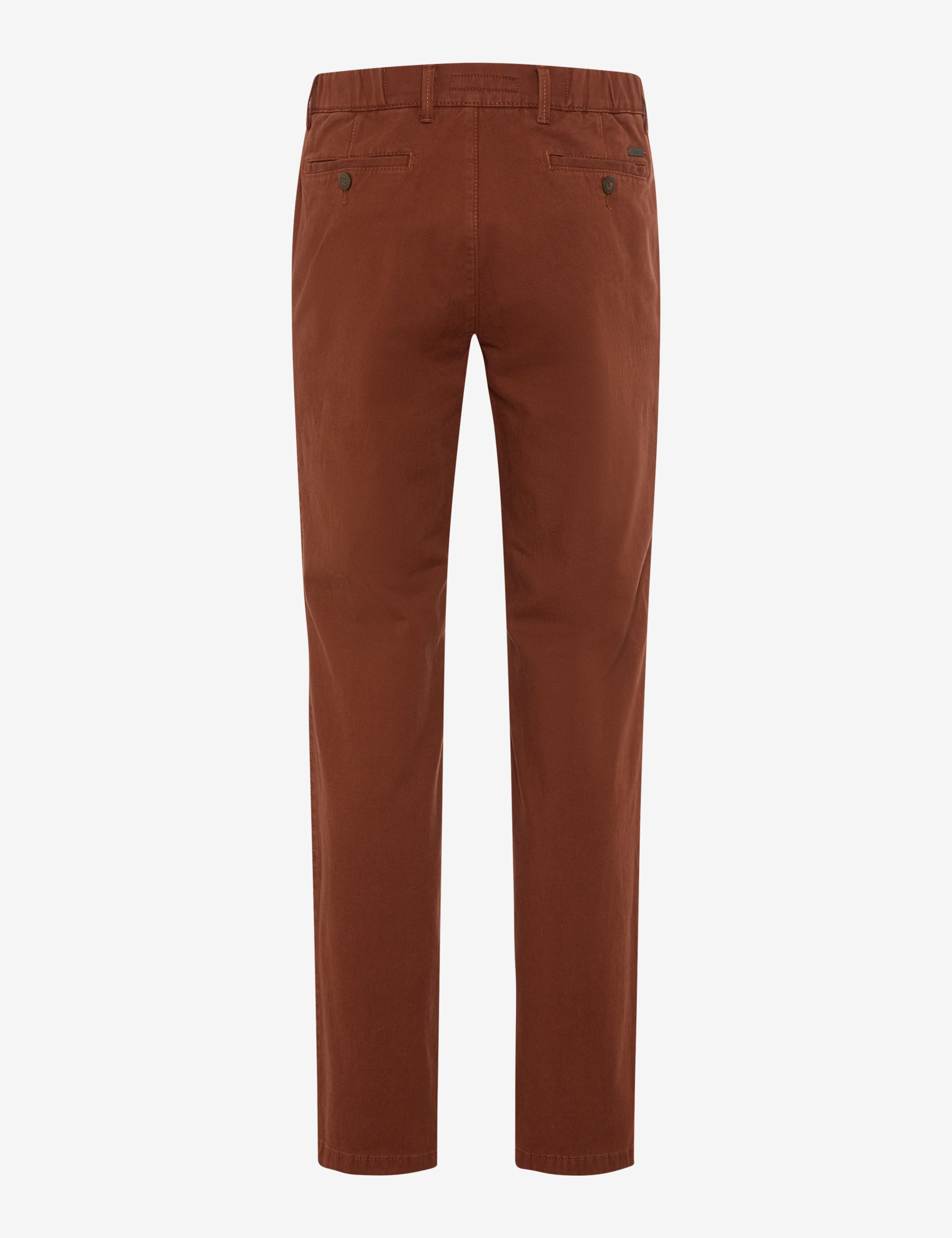 Men Style THILO Brown Regular Fit Stand-alone rear view