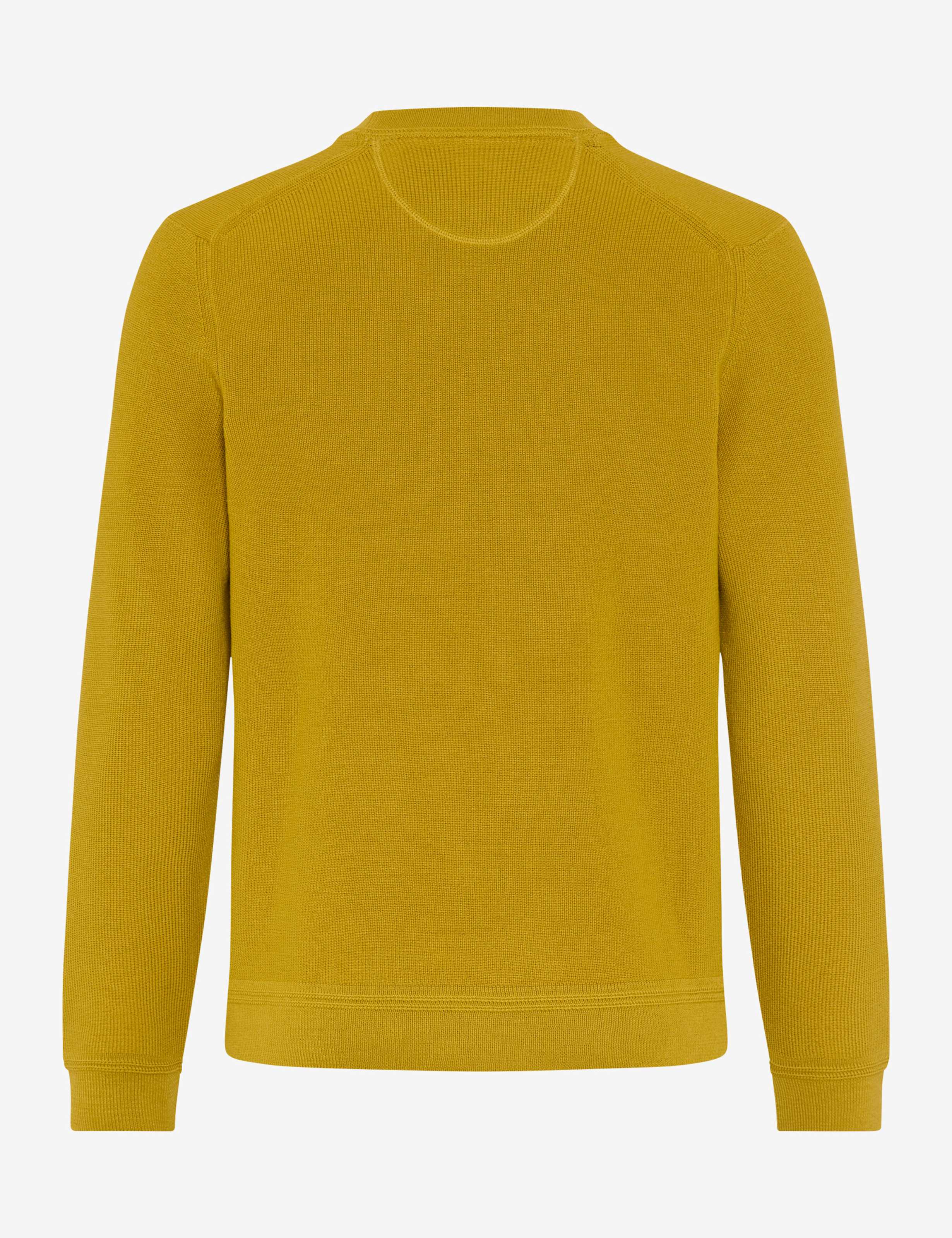 Gelbtöne, Herren, Style ROY, FREISTELLER_RUECK_ISHOP