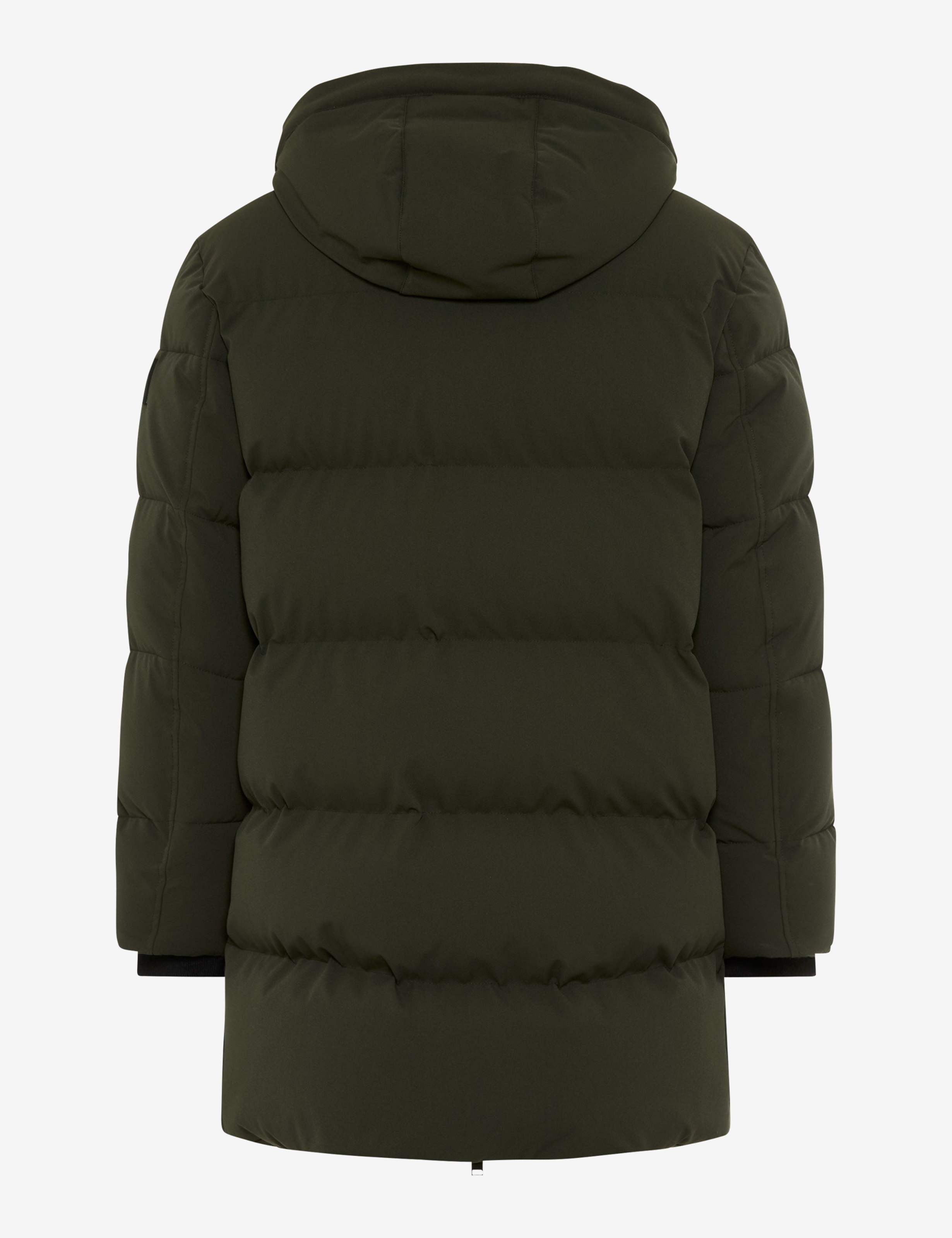 Shades of Green, Men, Style GARRETT, FREISTELLER_RUECK_ISHOP