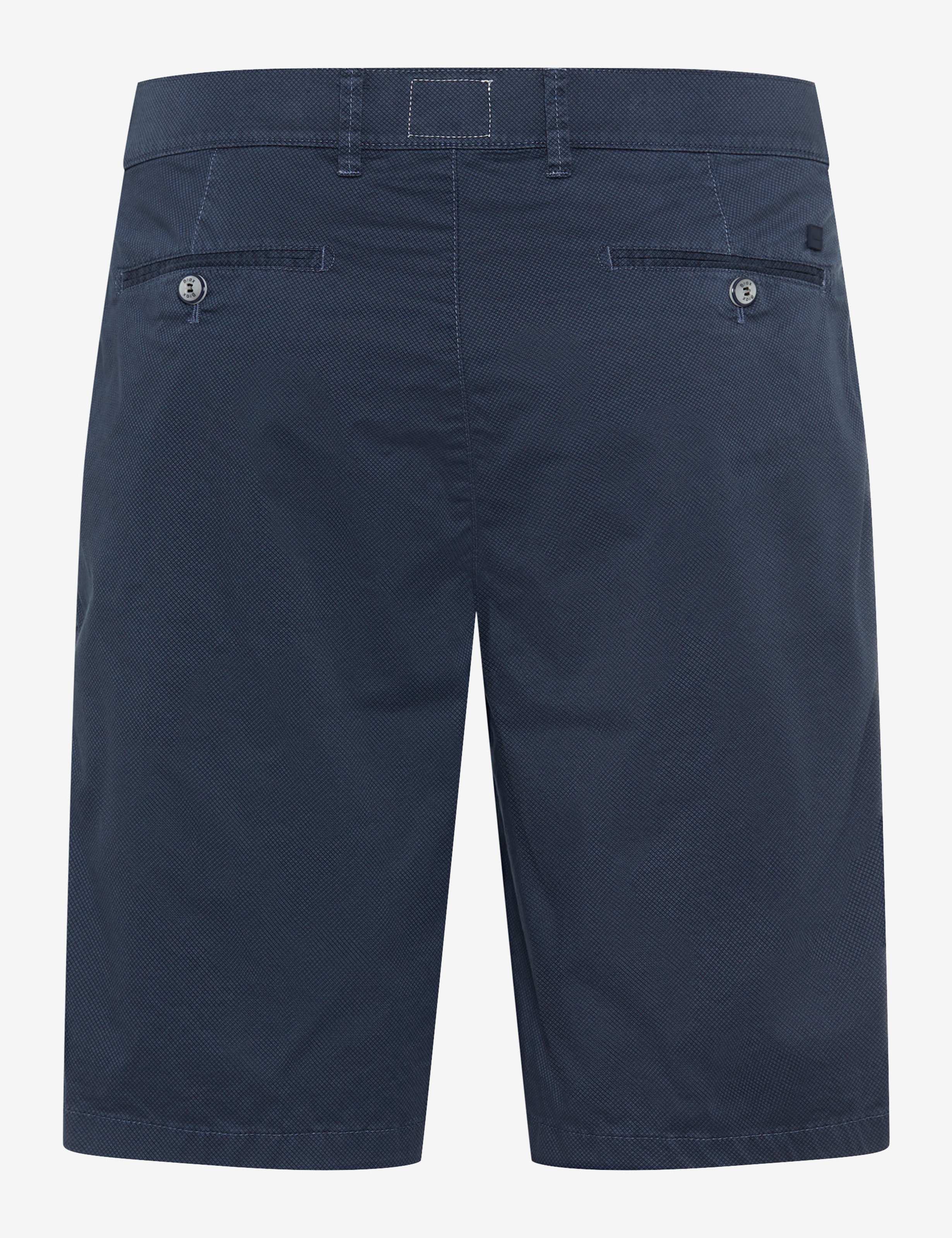 Men Style BOZEN Dark Blue Regular Fit Stand-alone rear view