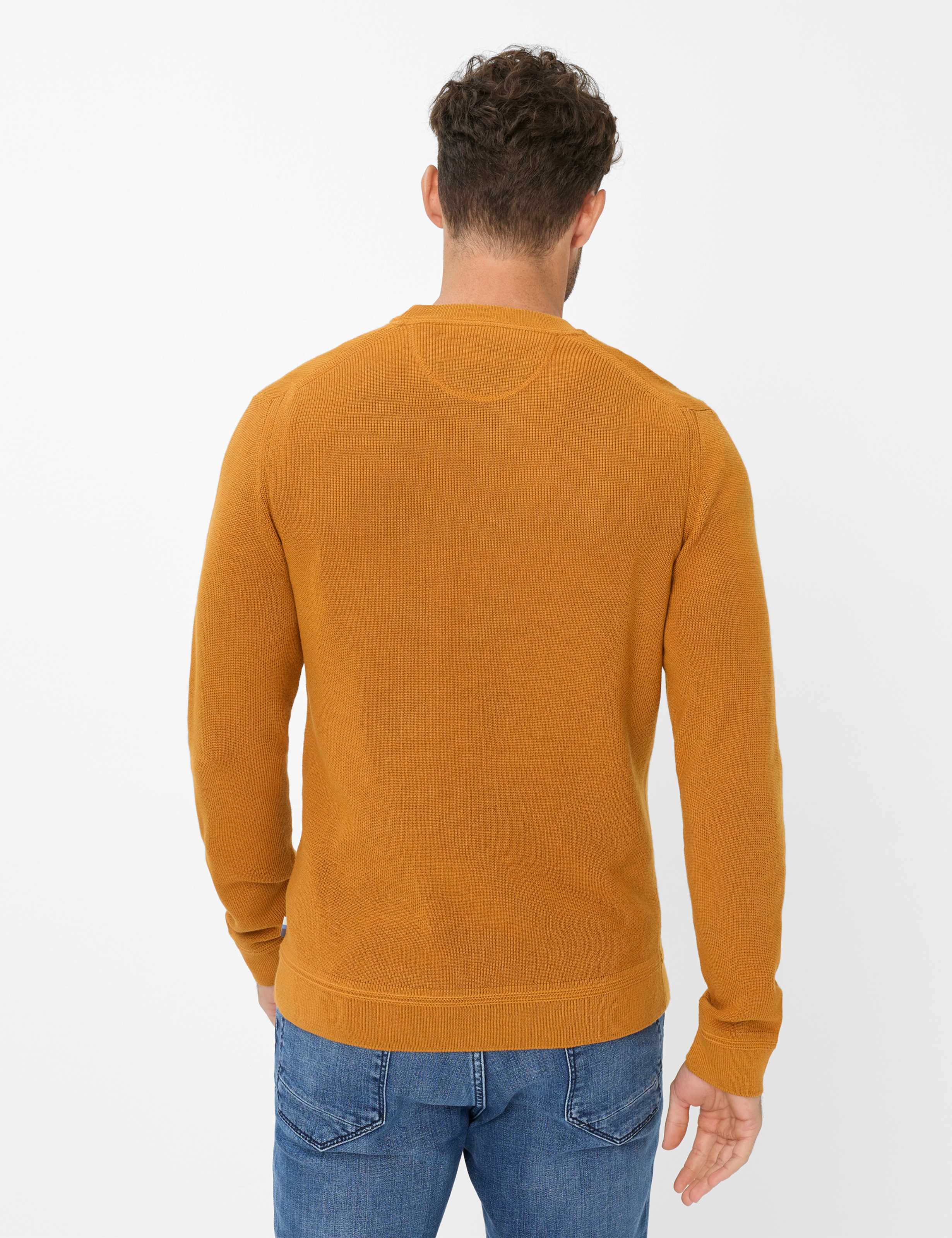 Men Style ROY Dark Orange  Model back