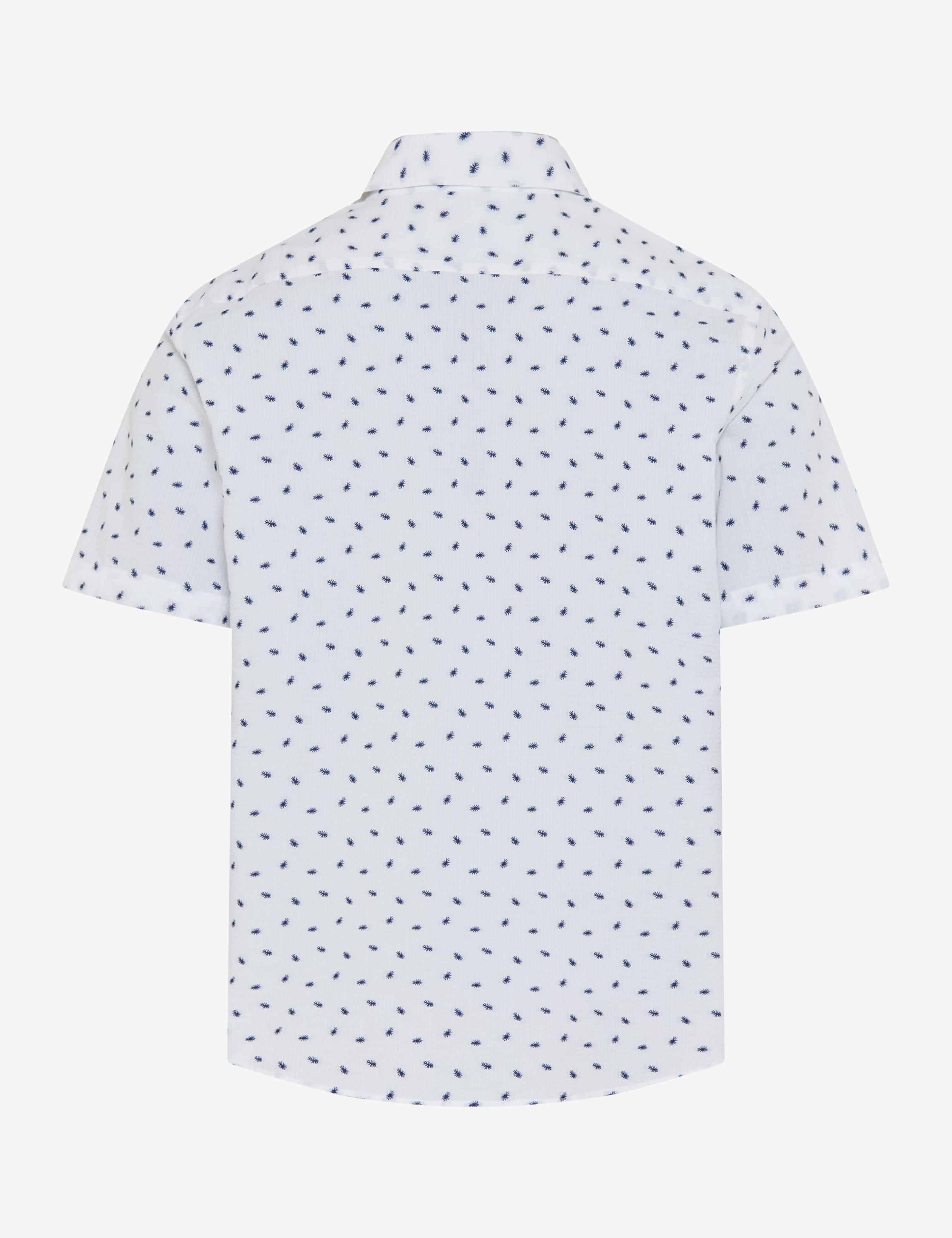 Tons blancs, Homme, Style HARDY, FREISTELLER_RUECK_ISHOP