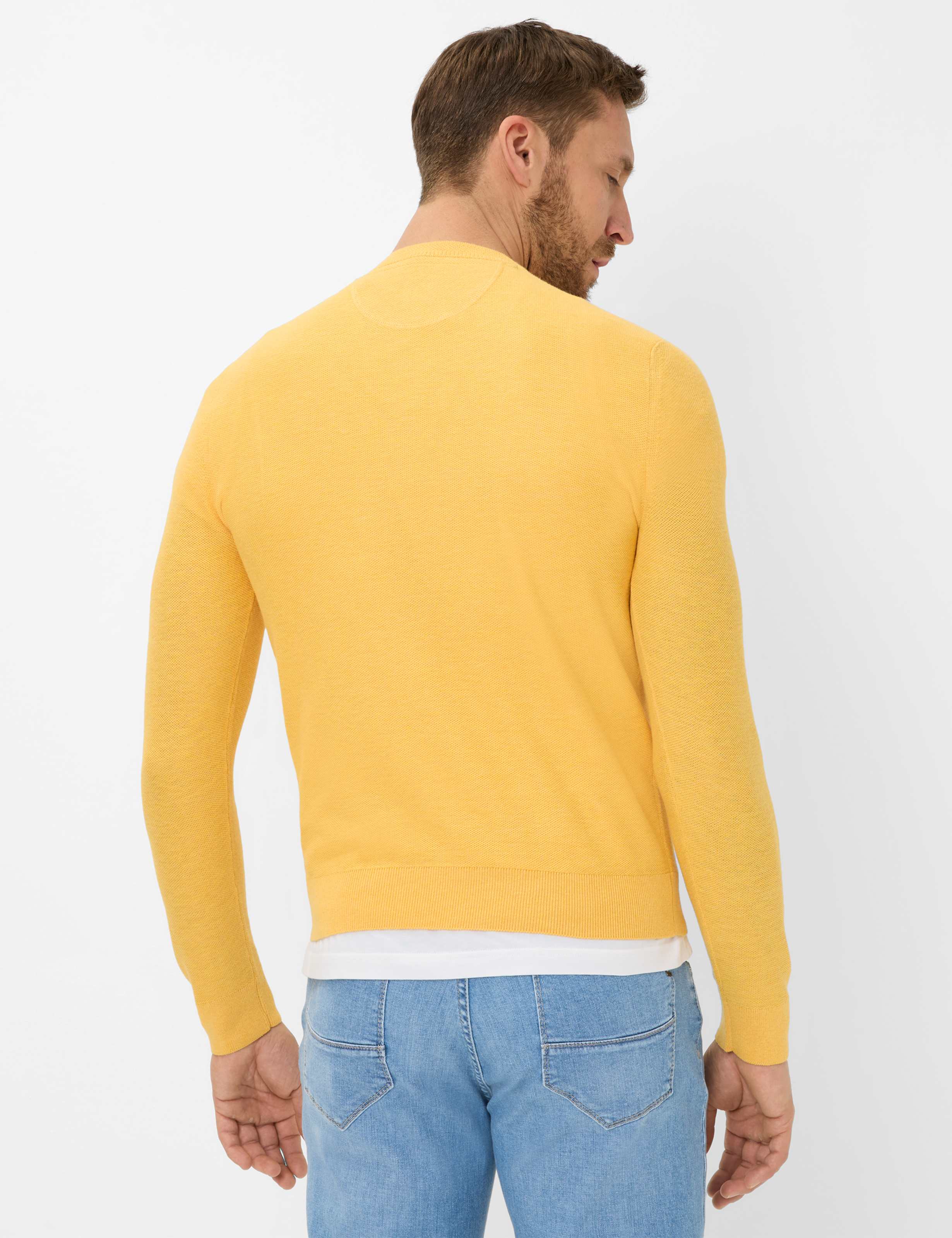 Men Style RICK Yellow  Model back