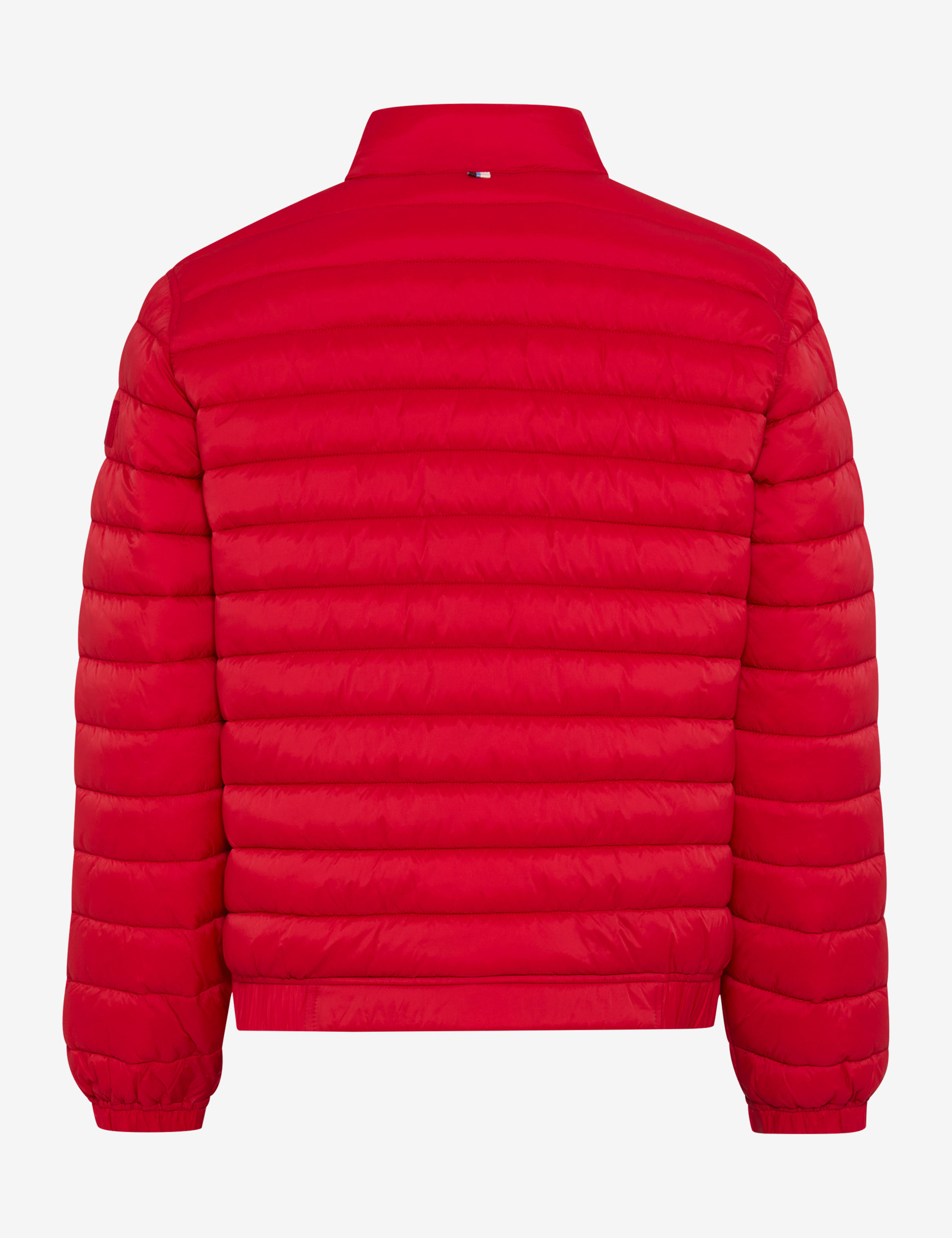 Tons rouges, Homme, Style BRAD, FREISTELLER_RUECK_ISHOP