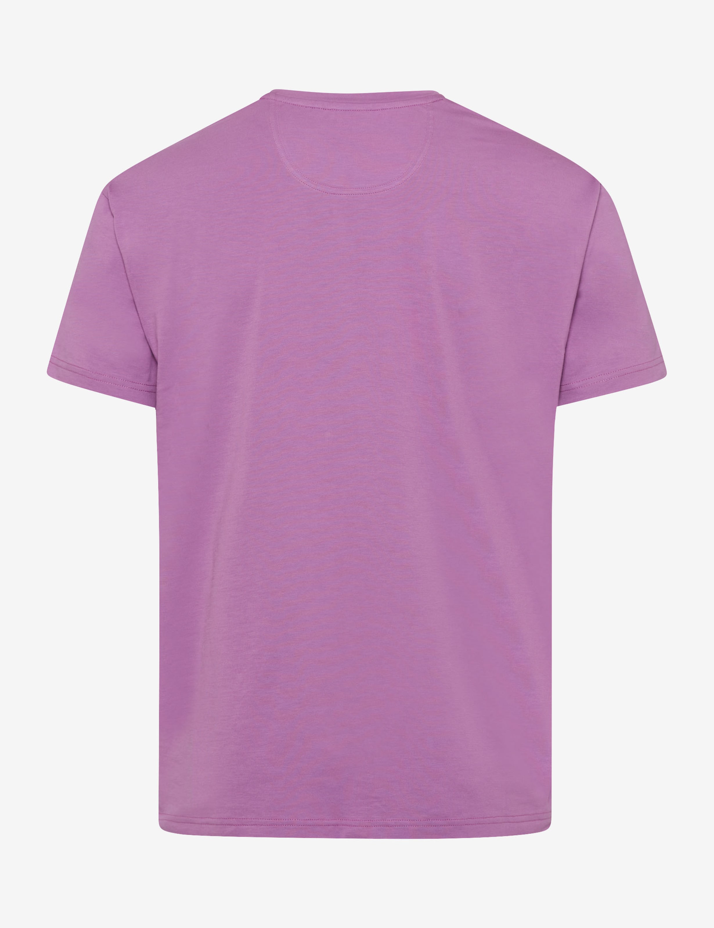 Herren Style TED Lila  Freisteller Rueck