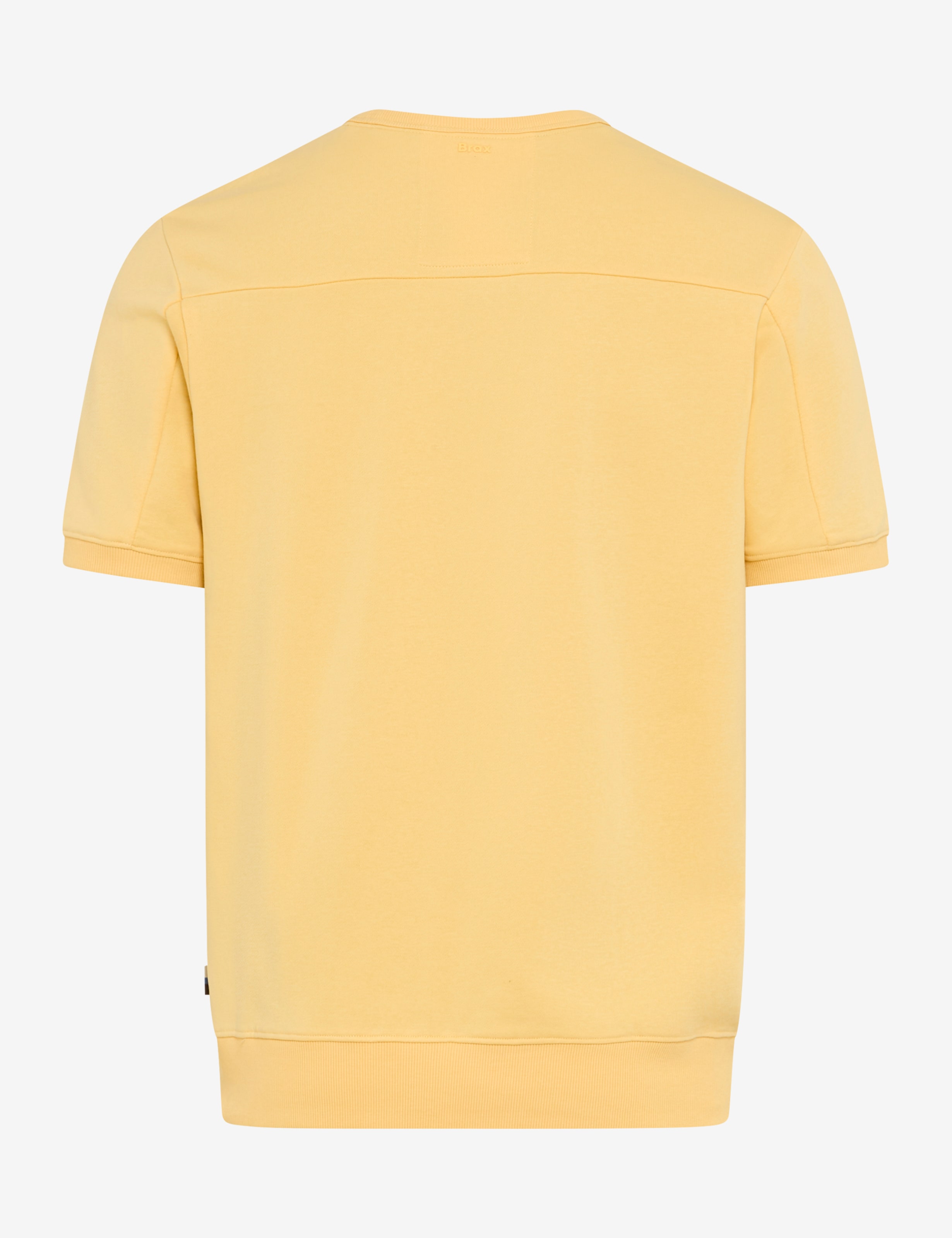 Nuancer af gul, Mænd, Style SULLY, FREISTELLER_RUECK_ISHOP