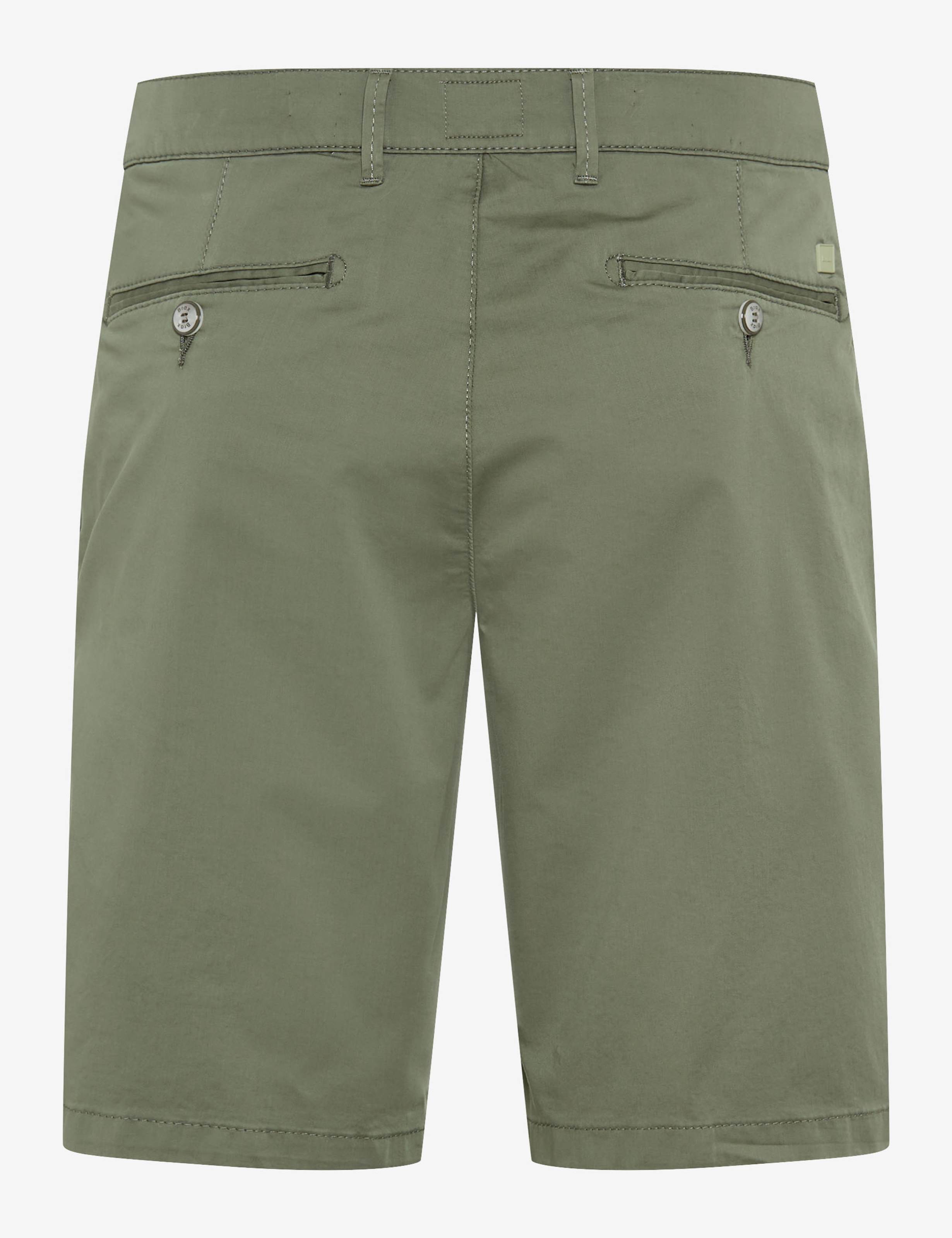 Men Style BOZEN Green Regular Fit Stand-alone rear view