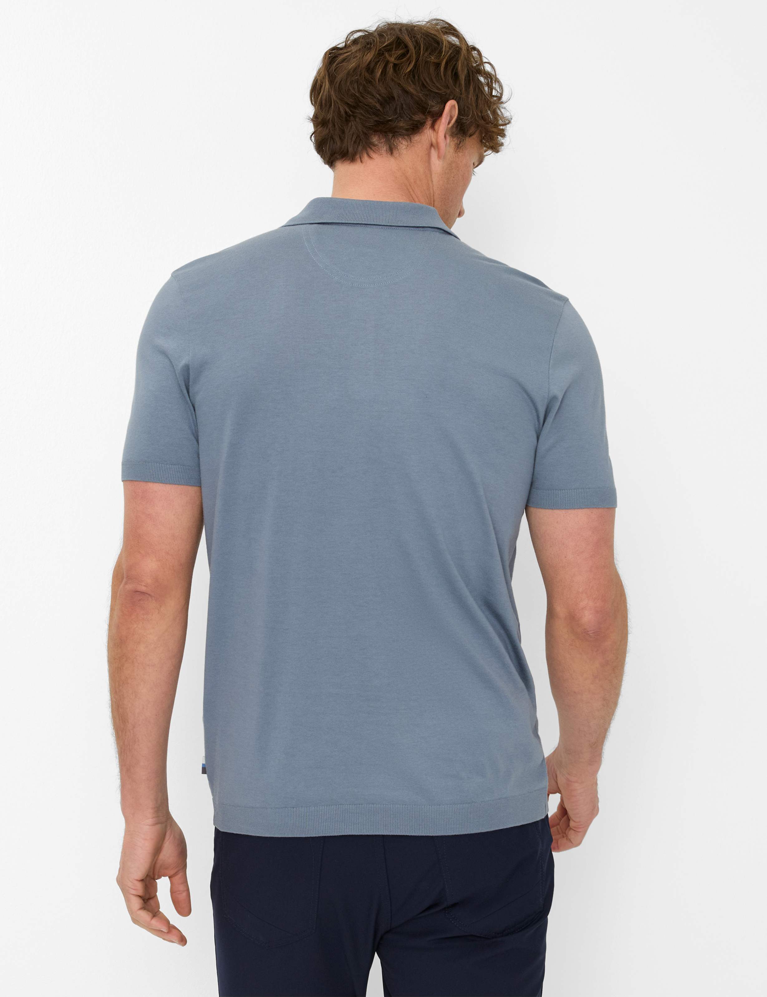 Men Style PARVIS Blue  Model back