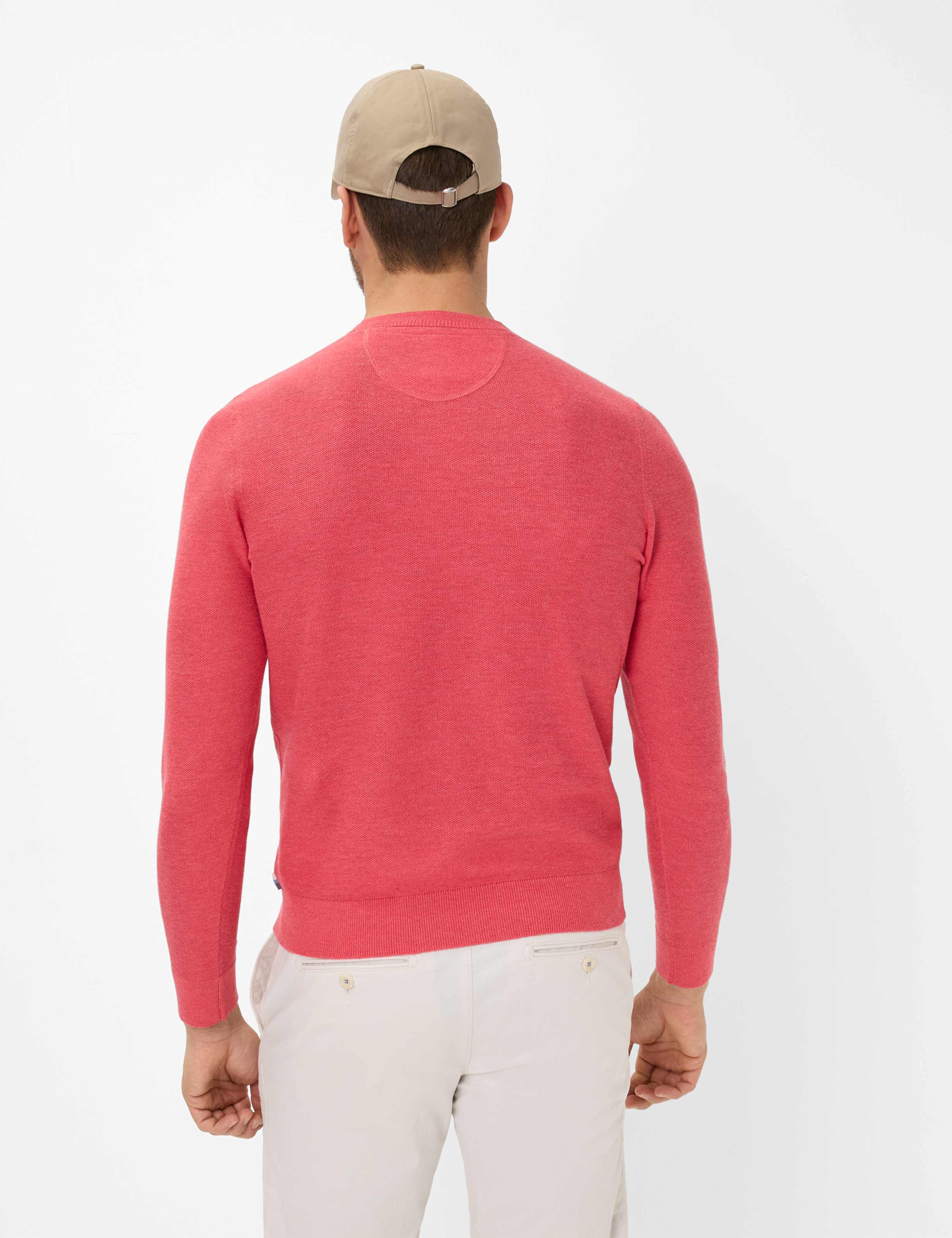 Men Style RICK Red  Model back