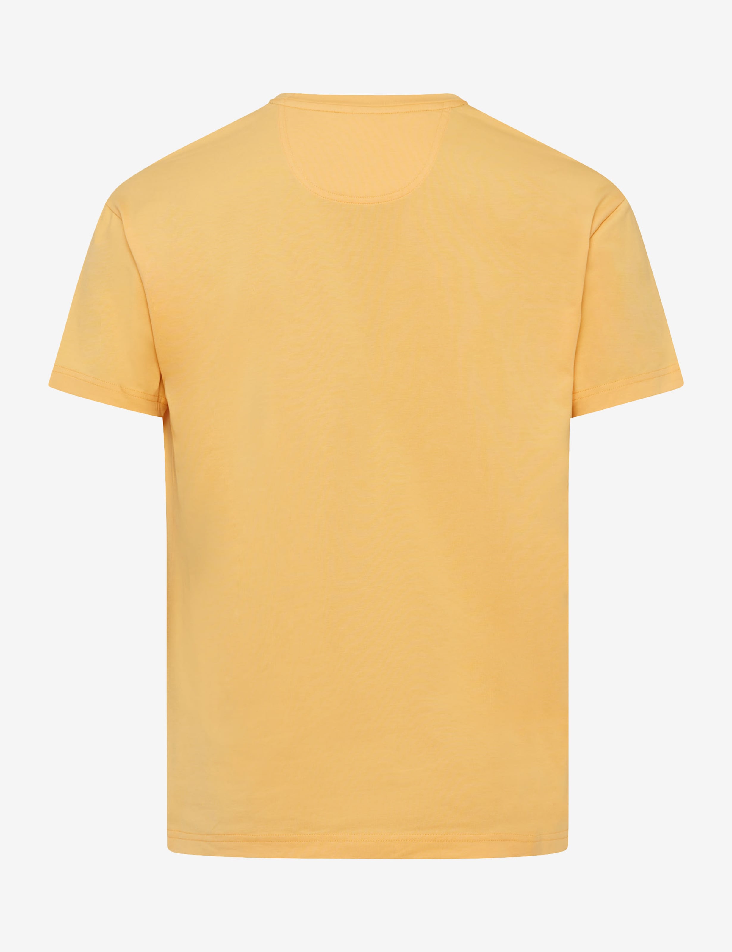 Herren Style TED Gelb  Freisteller Rueck