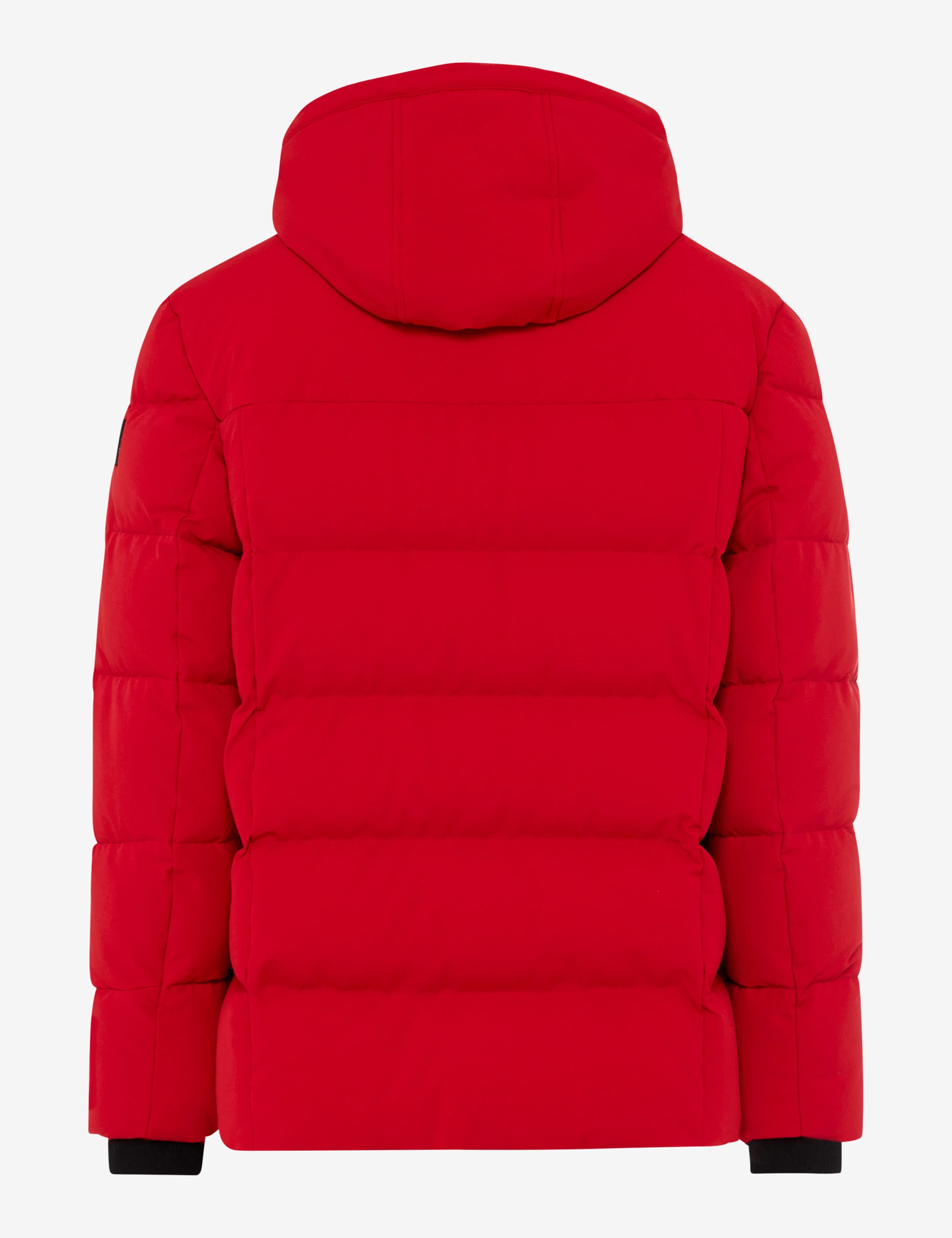Tons rouges, Homme, Style BOB, FREISTELLER_RUECK_ISHOP